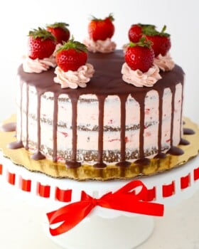 Sugar Free Gluten Free Chocolate Strawberry Cake