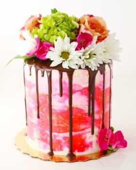 Pink Painted Buttercream Drip Cake