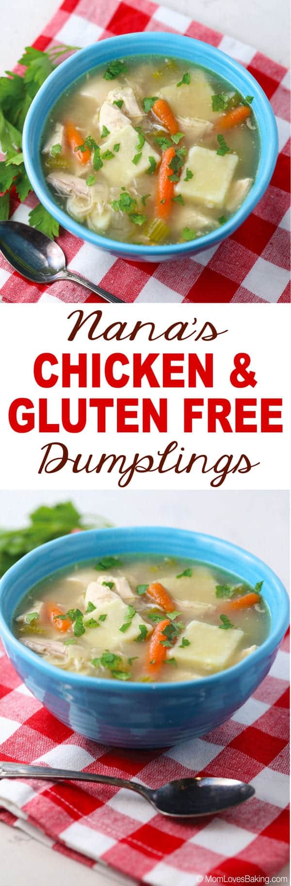 Nana's chicken and gluten free dumplings