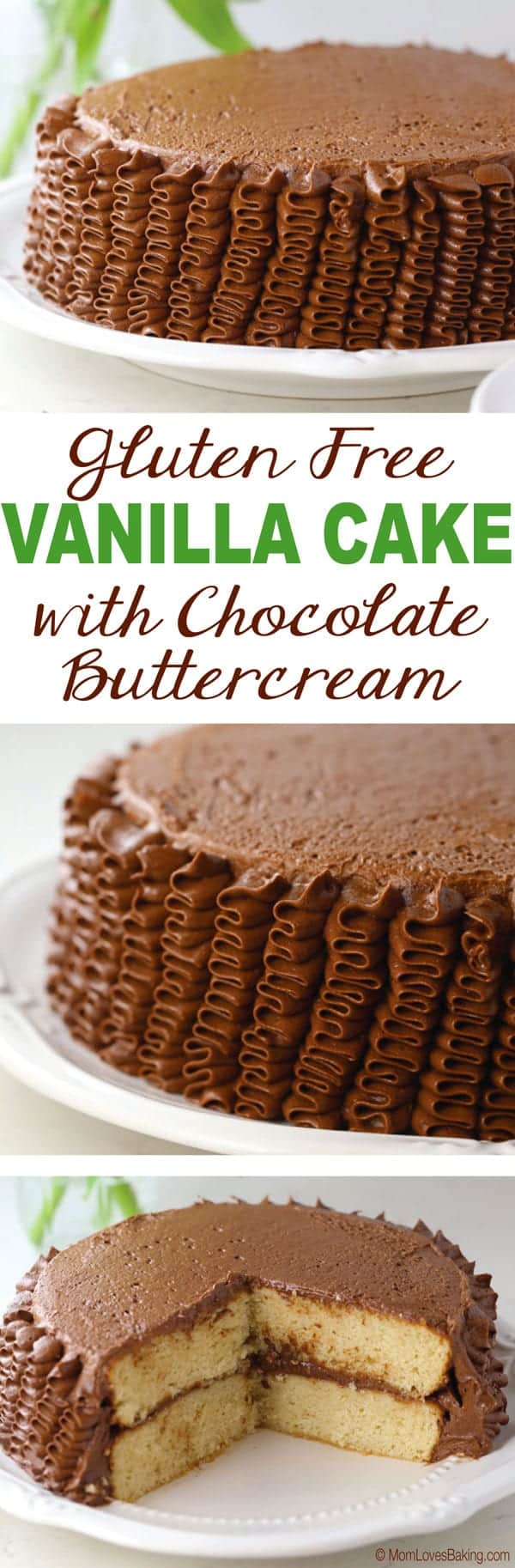 Gluten free vanilla cake with chocolate buttercream