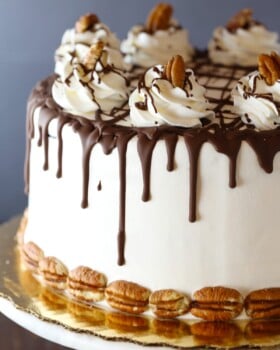 Easy Turtle Ice Box Cake