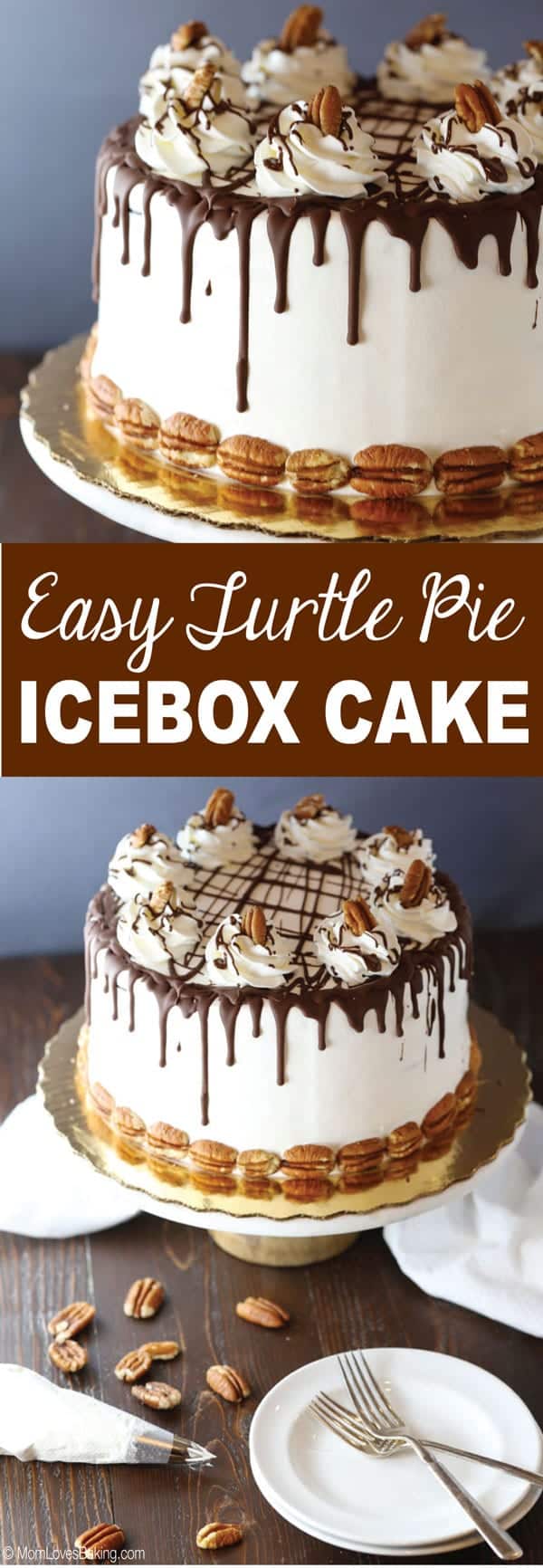 Easy Turtle Pie Ice Box Cake