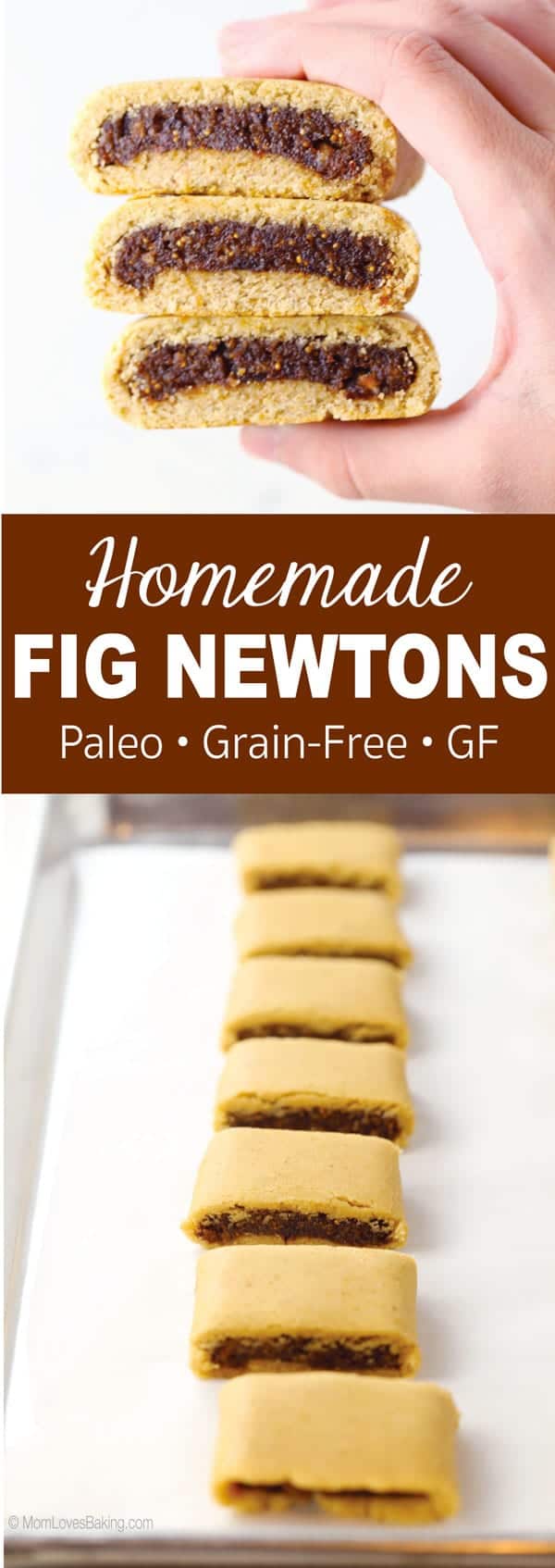 Homemade Fig Newton Cookies