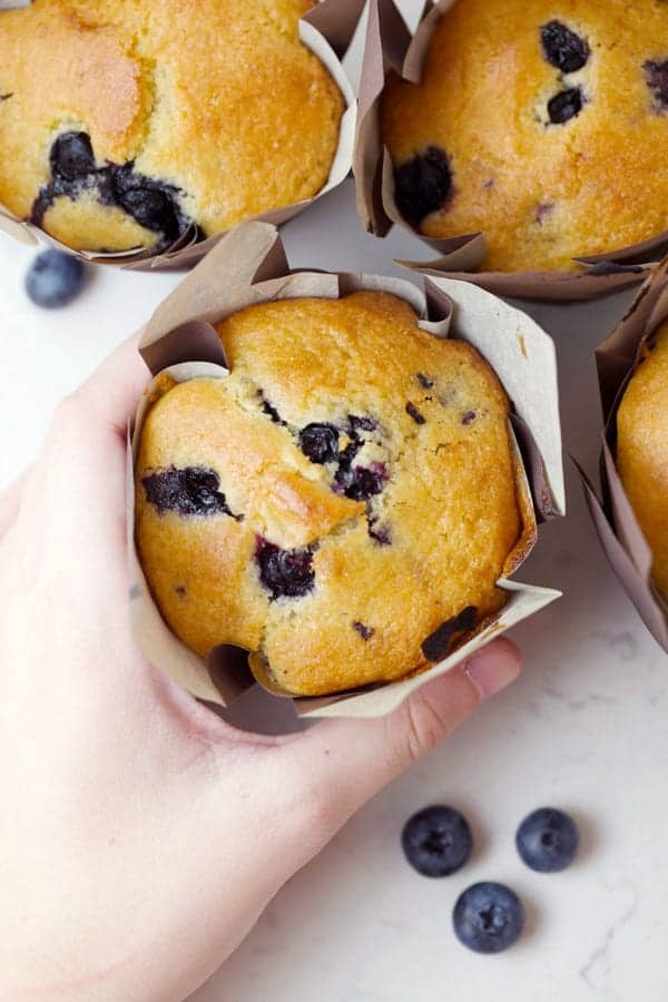 Gluten free blueberry muffins