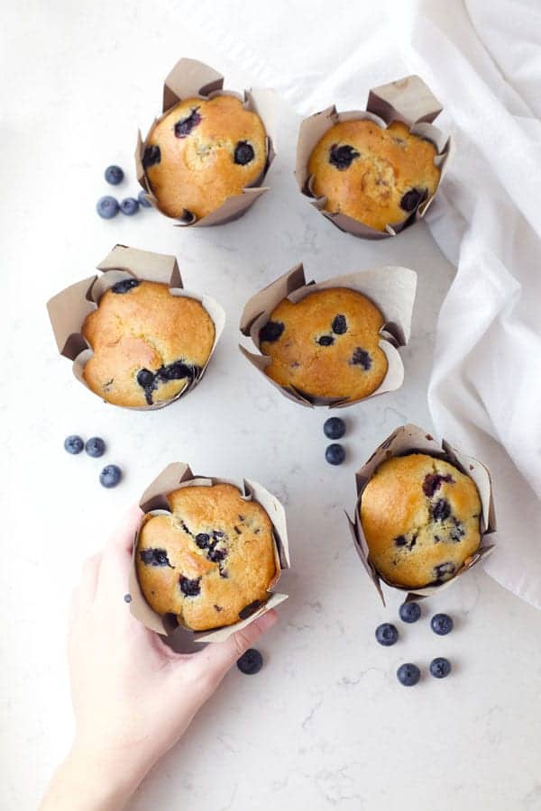 Lemon Blueberry Muffins gluten free dairy free