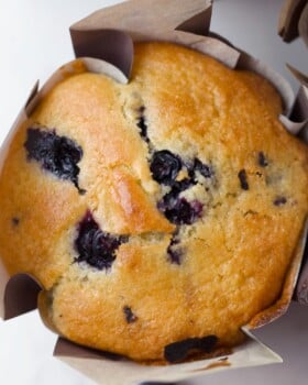 Blueberry muffins