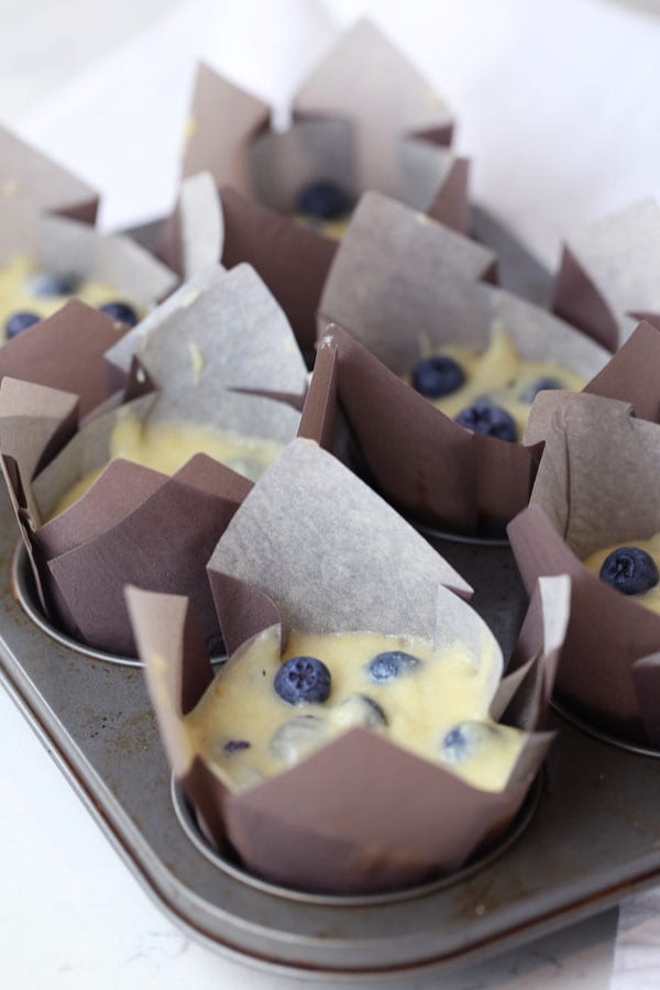 Blueberry muffins in a muffin pan