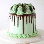 Chocolate mint layer cake with Girl Scout thin mints in filling and on top