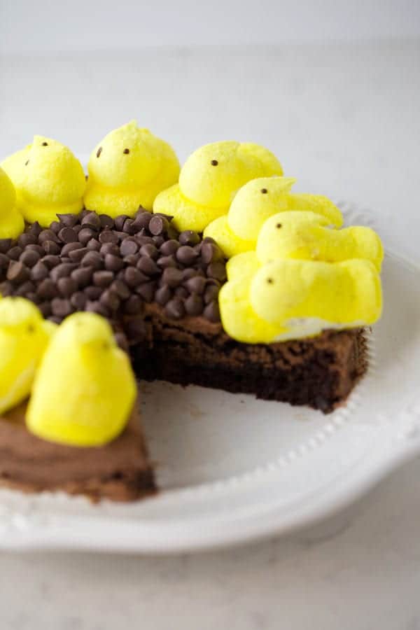Brownie cake with chocolate frosting and peeps on top