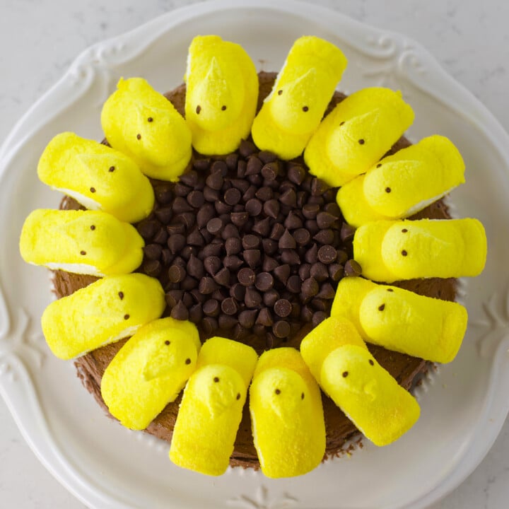 Super cute sunflower cake with yellow peeps.