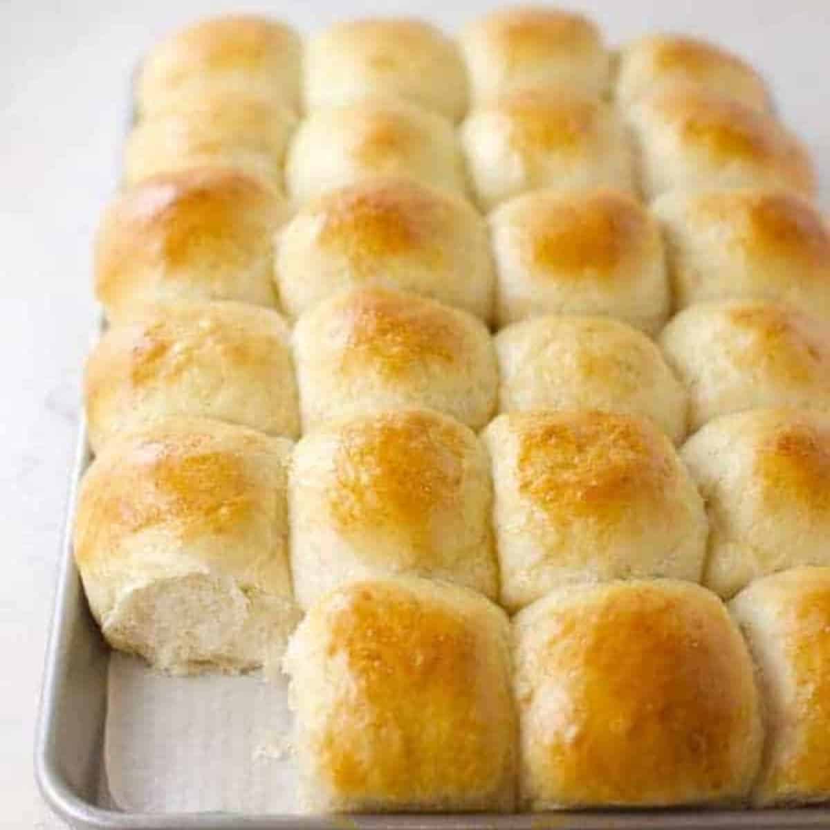 a tray of golden brown homemade dinner rolls.