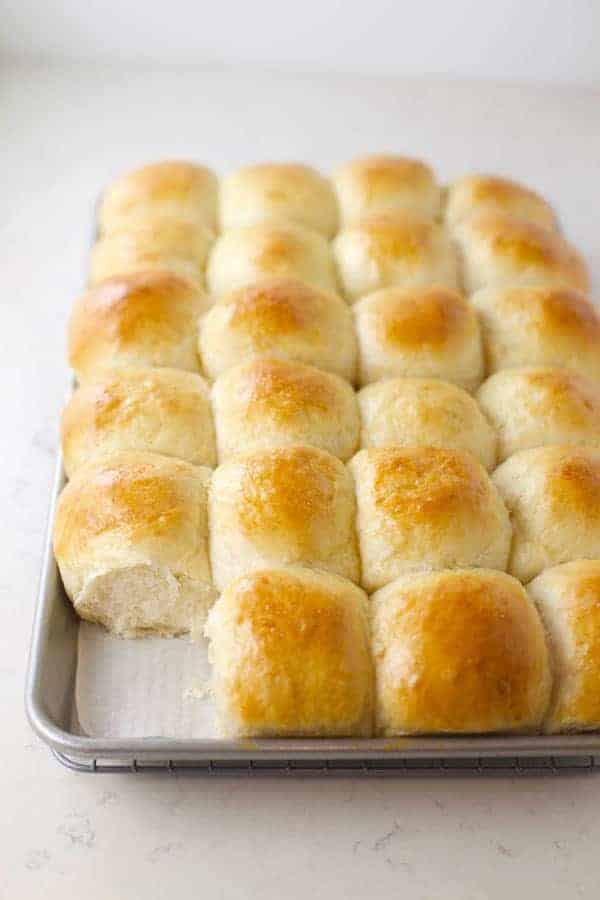 Homemade dinner rolls made with yeast