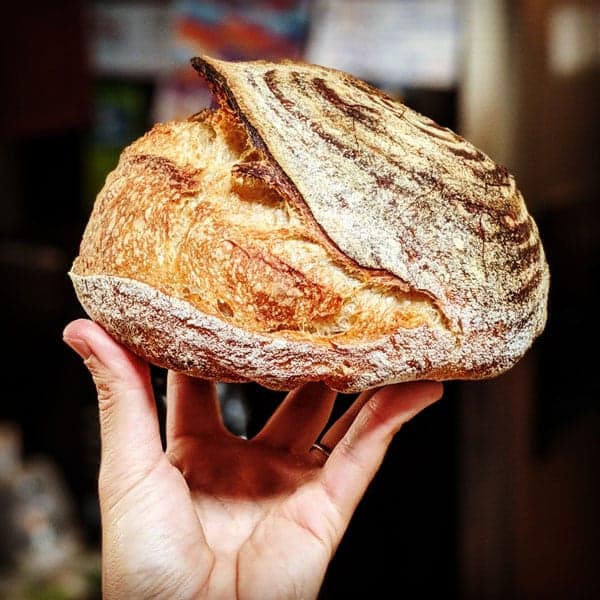 https://www.momlovesbaking.com/wp-content/uploads/2020/06/Sourdough-Bread-Basics-2.jpg