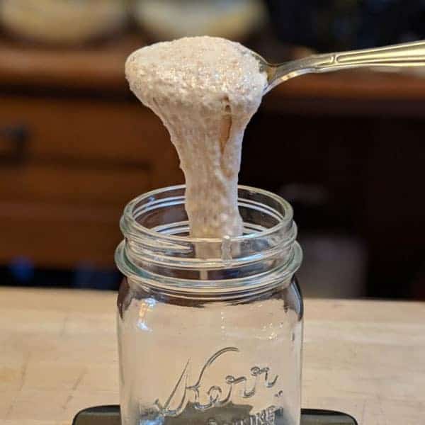 Sourdough bread starter in a jar