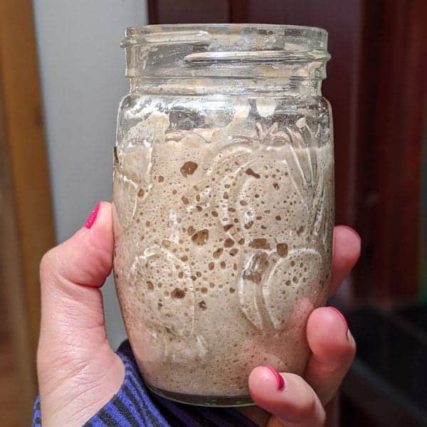 Sourdough bread starter