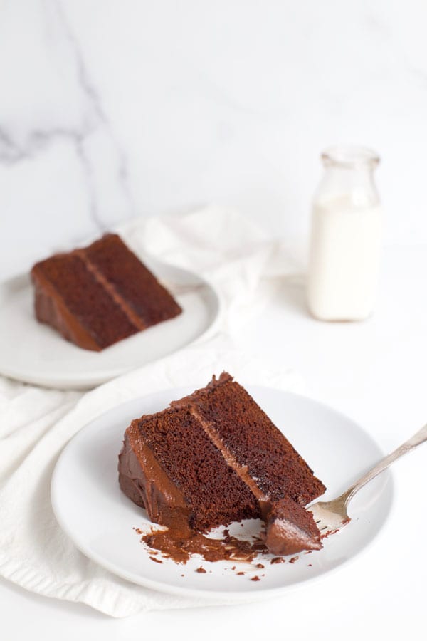 Two slices of chocolate fudge cake