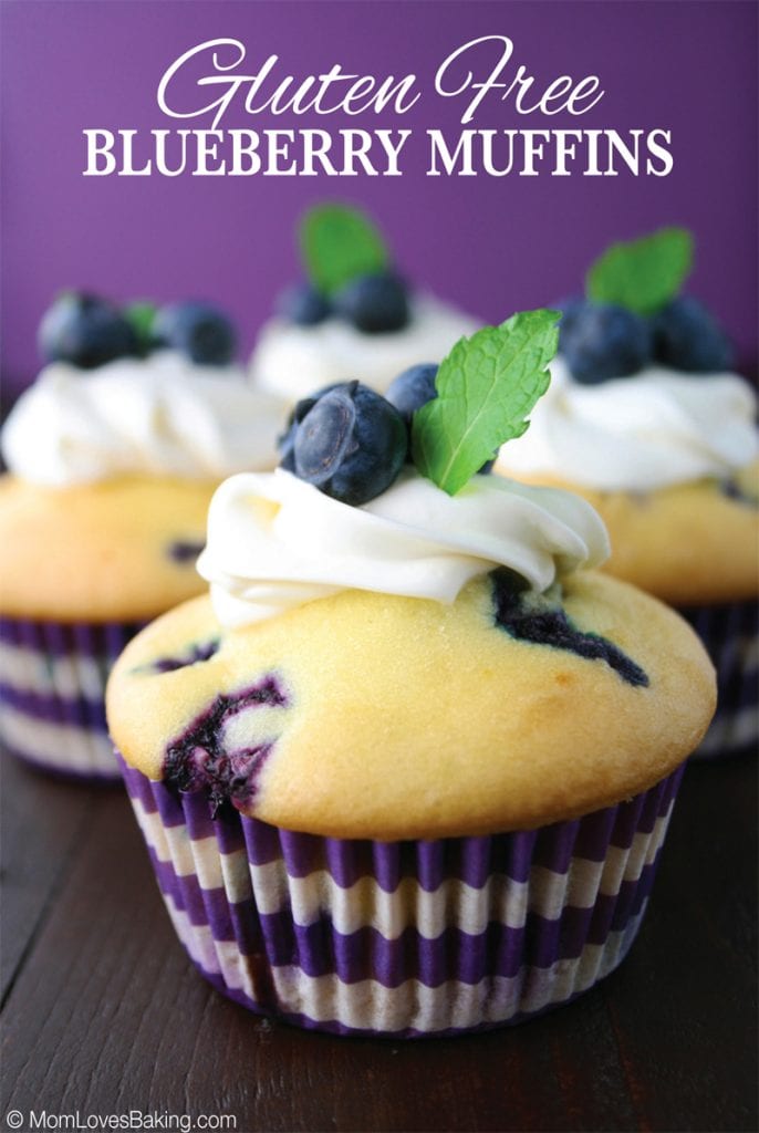 Gluten free blueberry muffins with cake mix