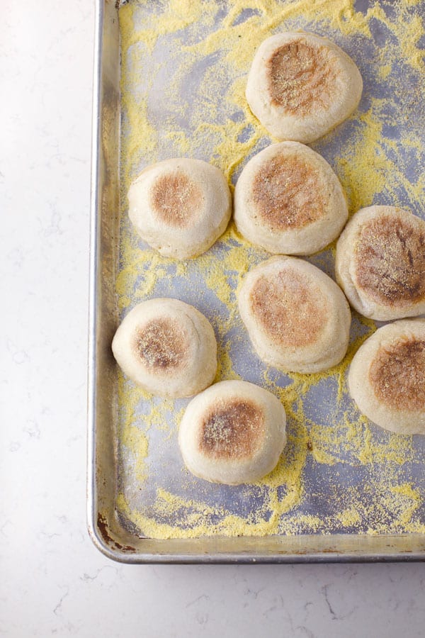 Sourdough English Muffins on a half sheet pan