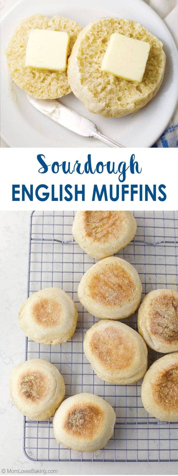 Sourdough English Muffins