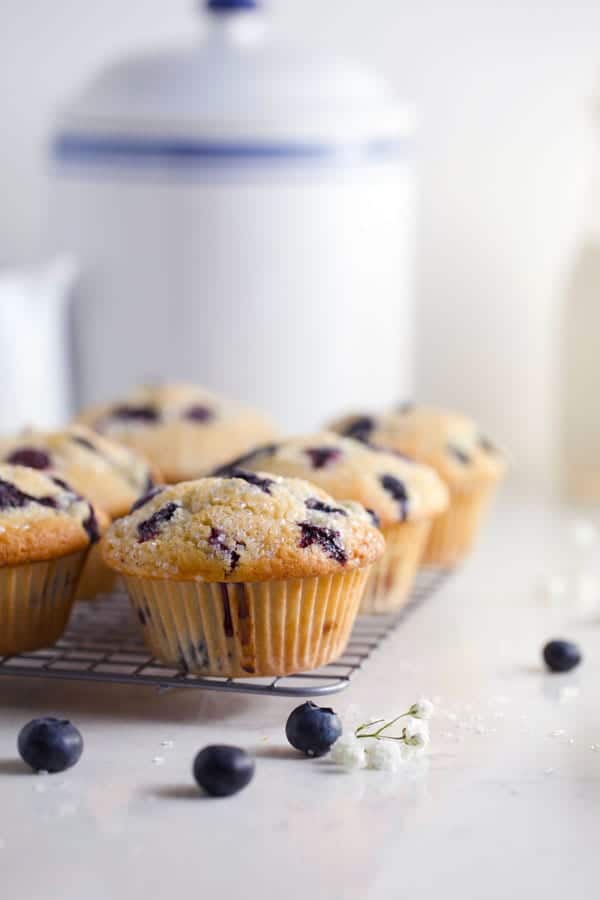 Close up of sourdough lemon blueberry muffins