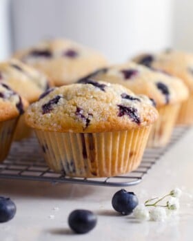 Close up of a lemon blueberry muffin