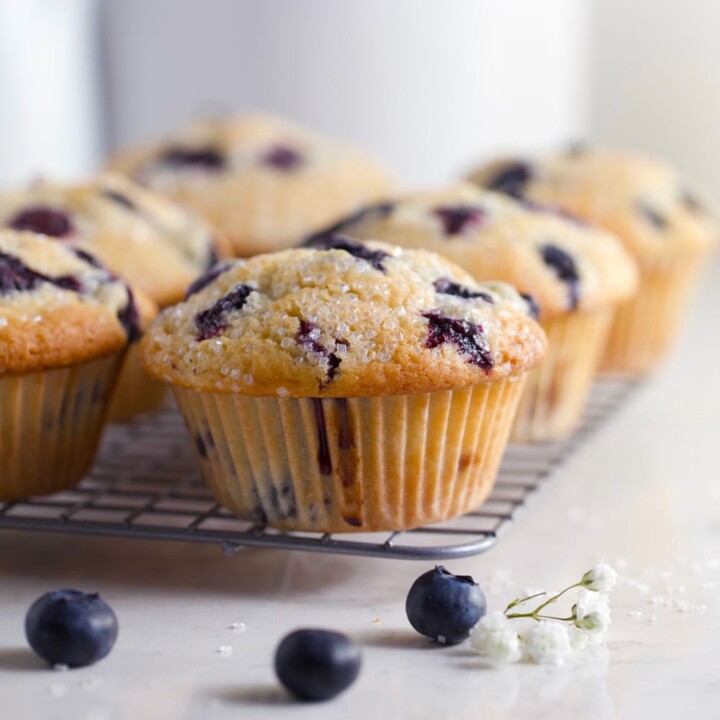 Close up of a lemon blueberry muffin