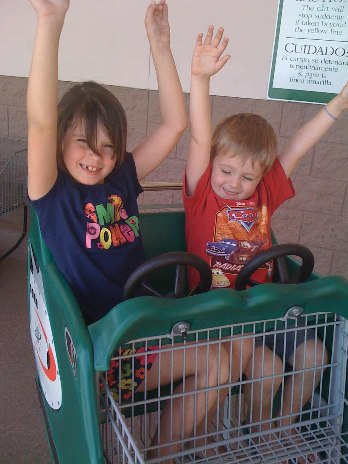 Kids in Publix shopping cart