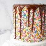 Gluten free chocolate layer cake with buttercream, sprinkles and chocolate drip