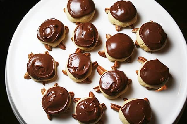 Snappy turtle cookies