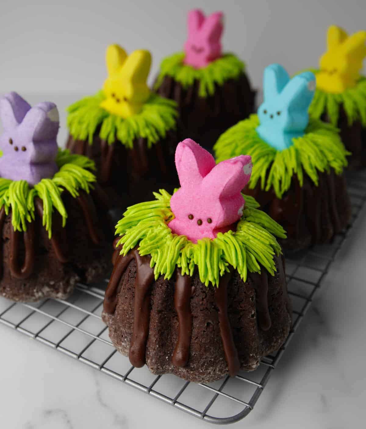 Six completed mini bundt cakes with chocolate drizzle, green frosting grass and Peep on top.