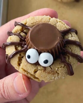 Cute spider cookies