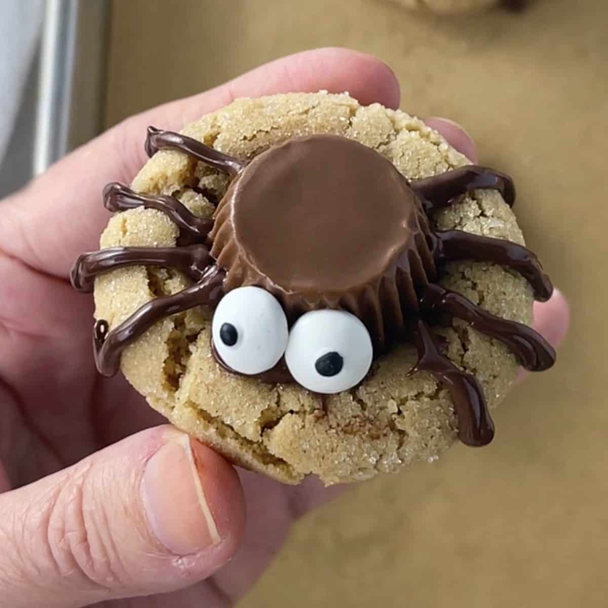 Cute spider cookies