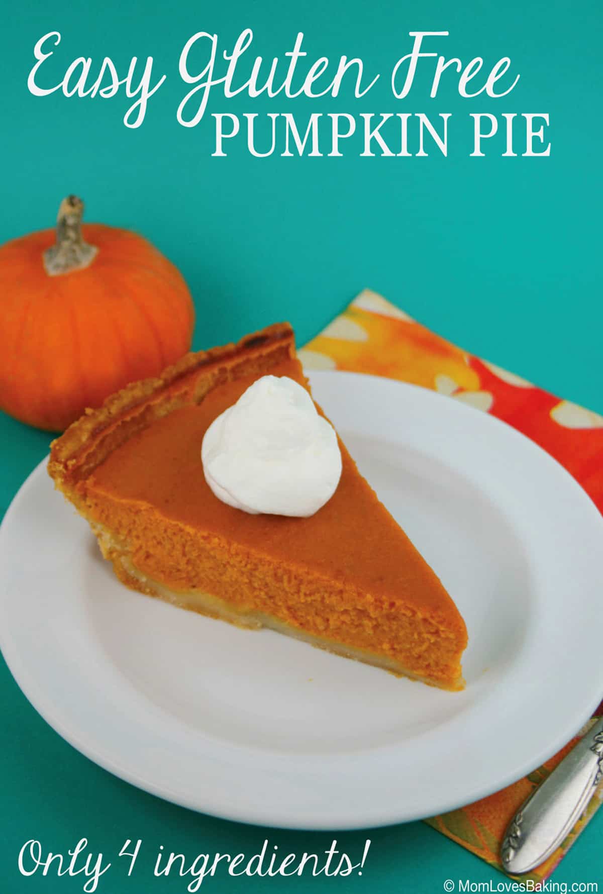 Slice of gluten free pumpkin pie on white plate.