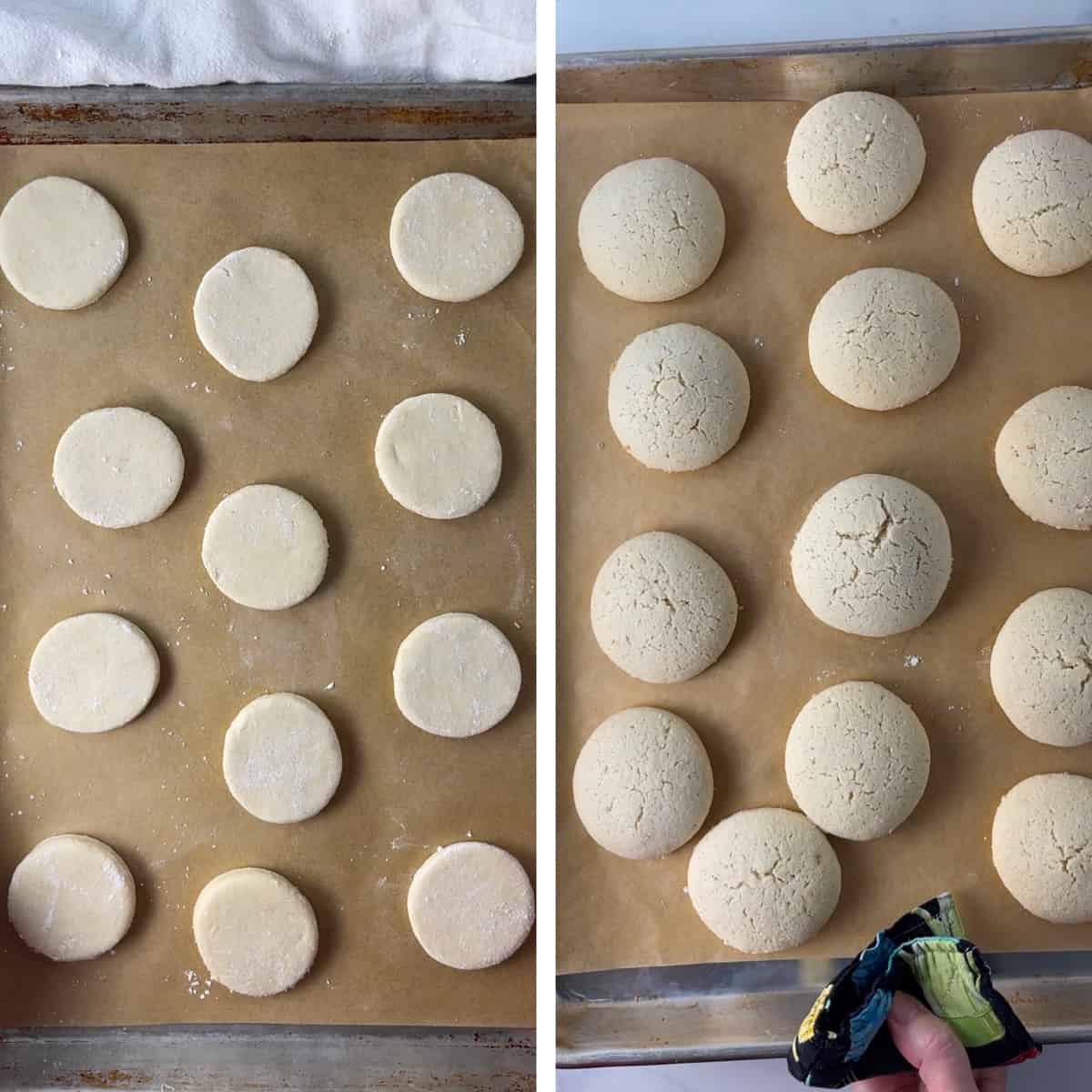 Sugar cookies on a cookie sheet.