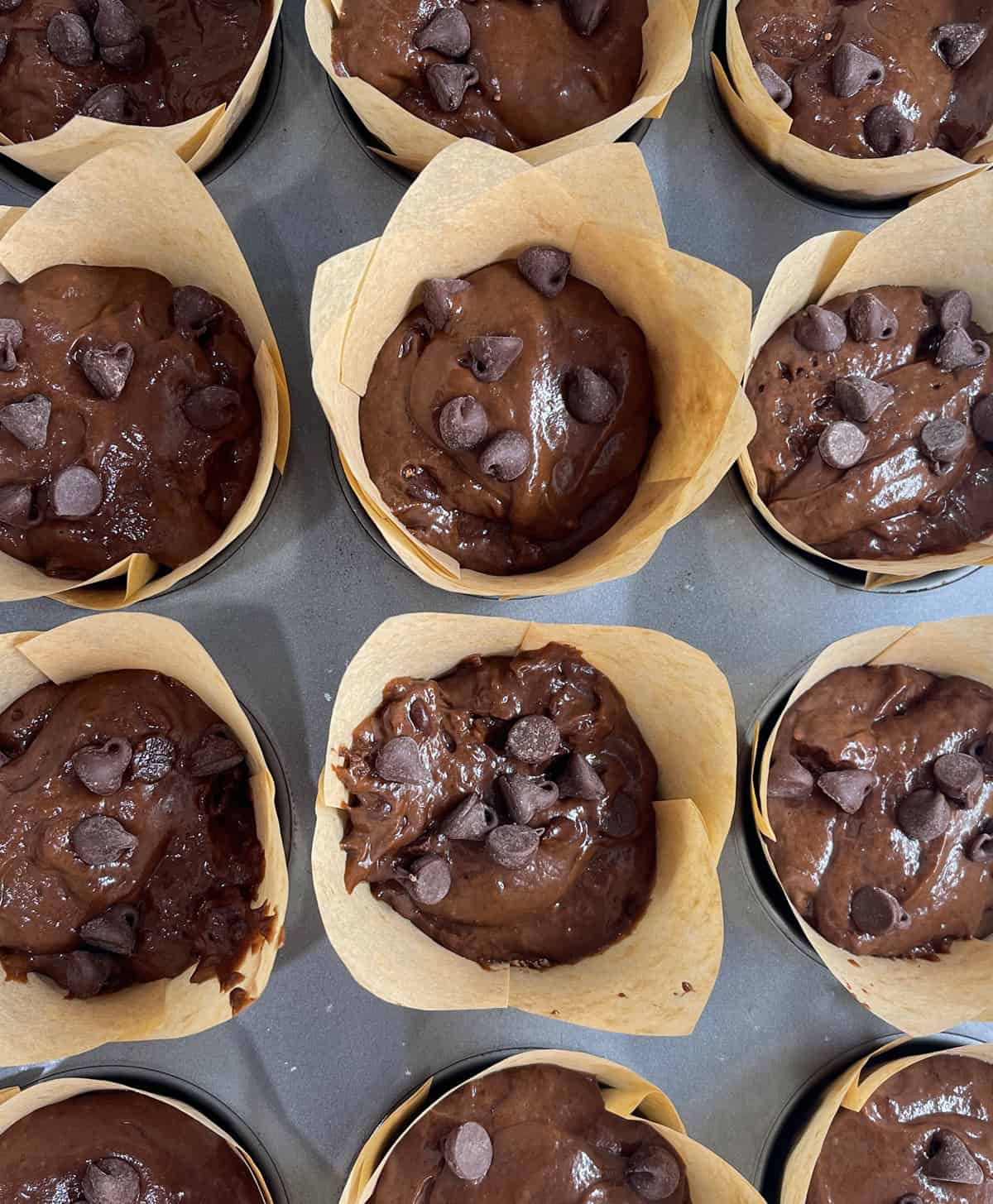 Chocolate muffins in baking pan.