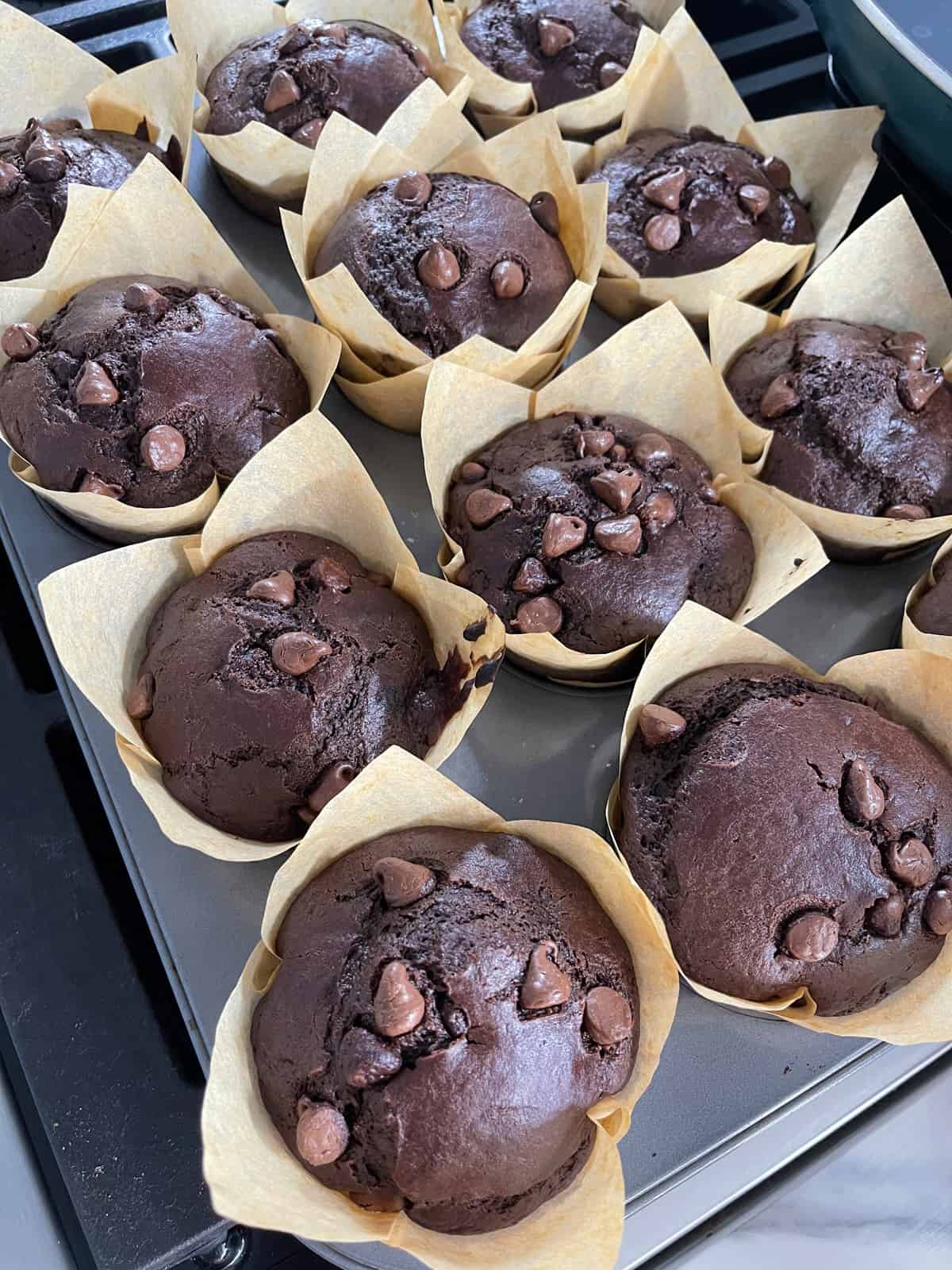 Chocolate muffins.