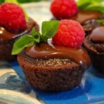 Tasty gluten free vegan chocolate cake bites recipe.