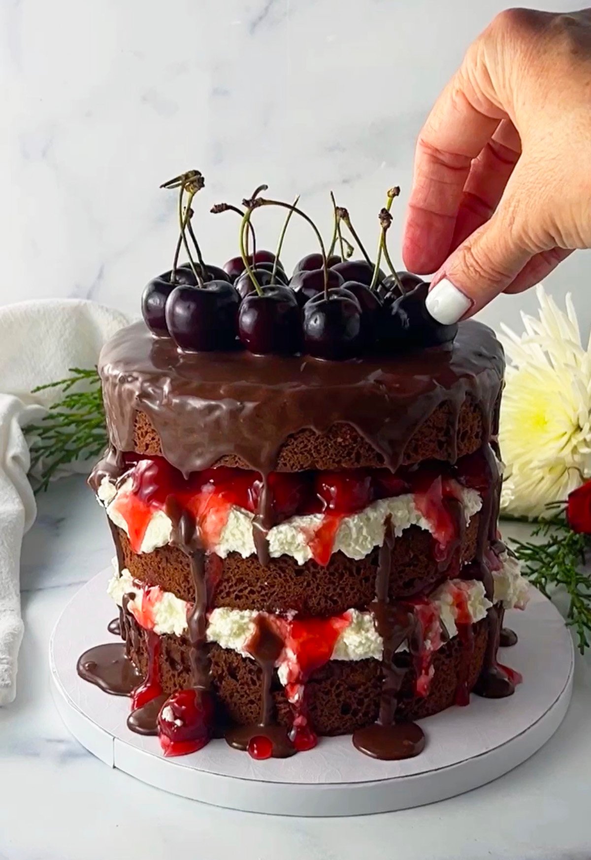 Placing fresh cherries on top of chocolate ganache drizzled black forest cake.