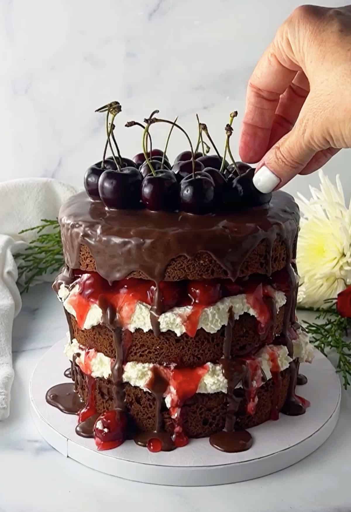 Placing fresh cherries on top of chocolate ganache drizzled black forest cake.