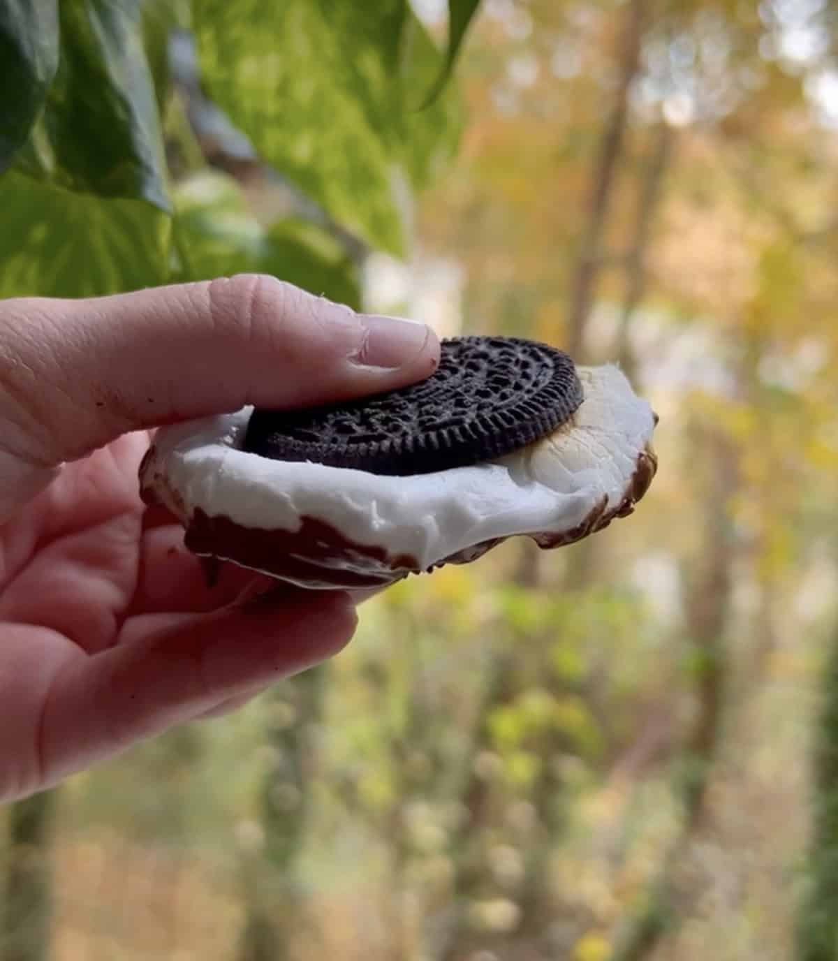 S'mores oreo cookies.