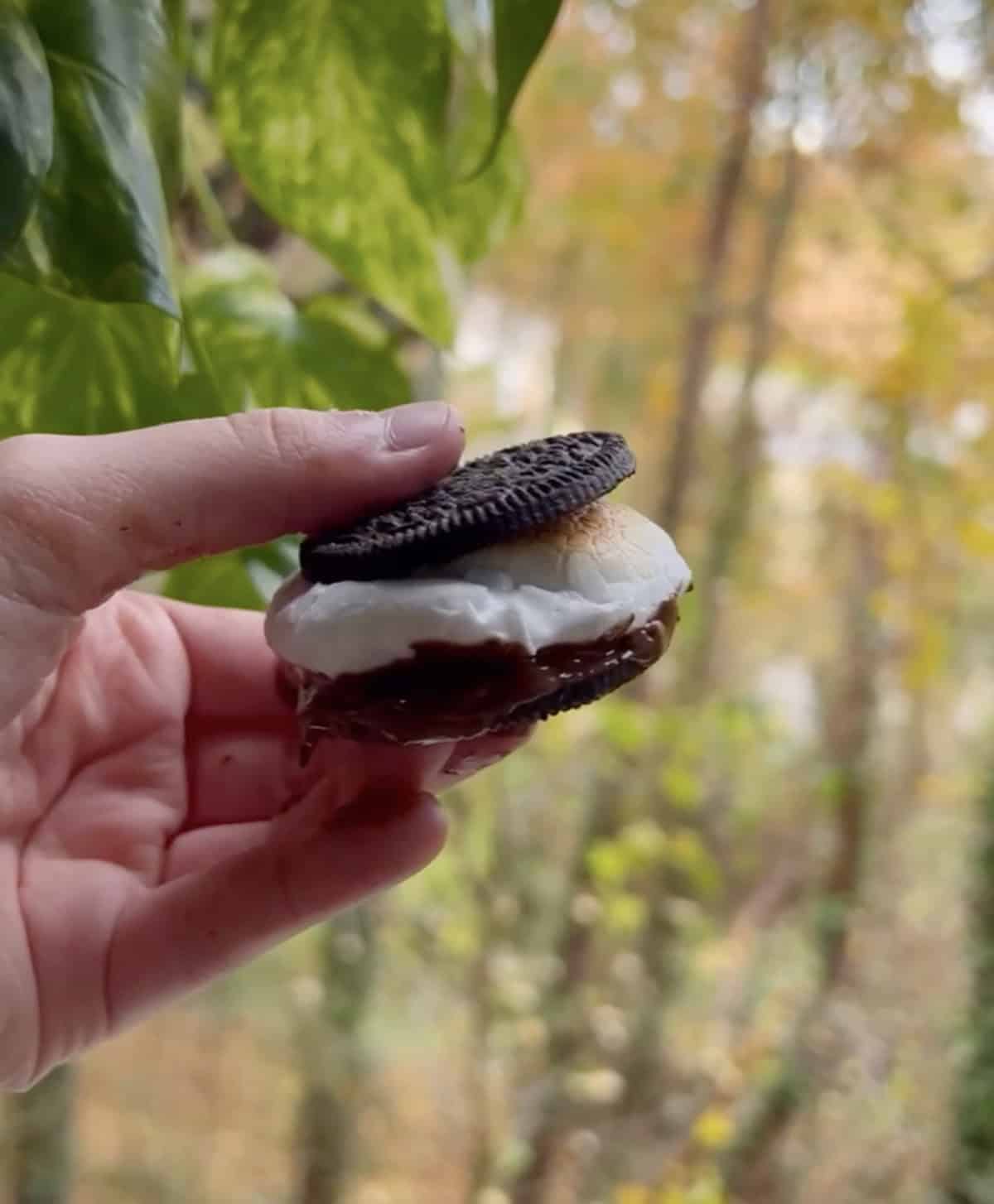 3 ingredient oreo dessert.