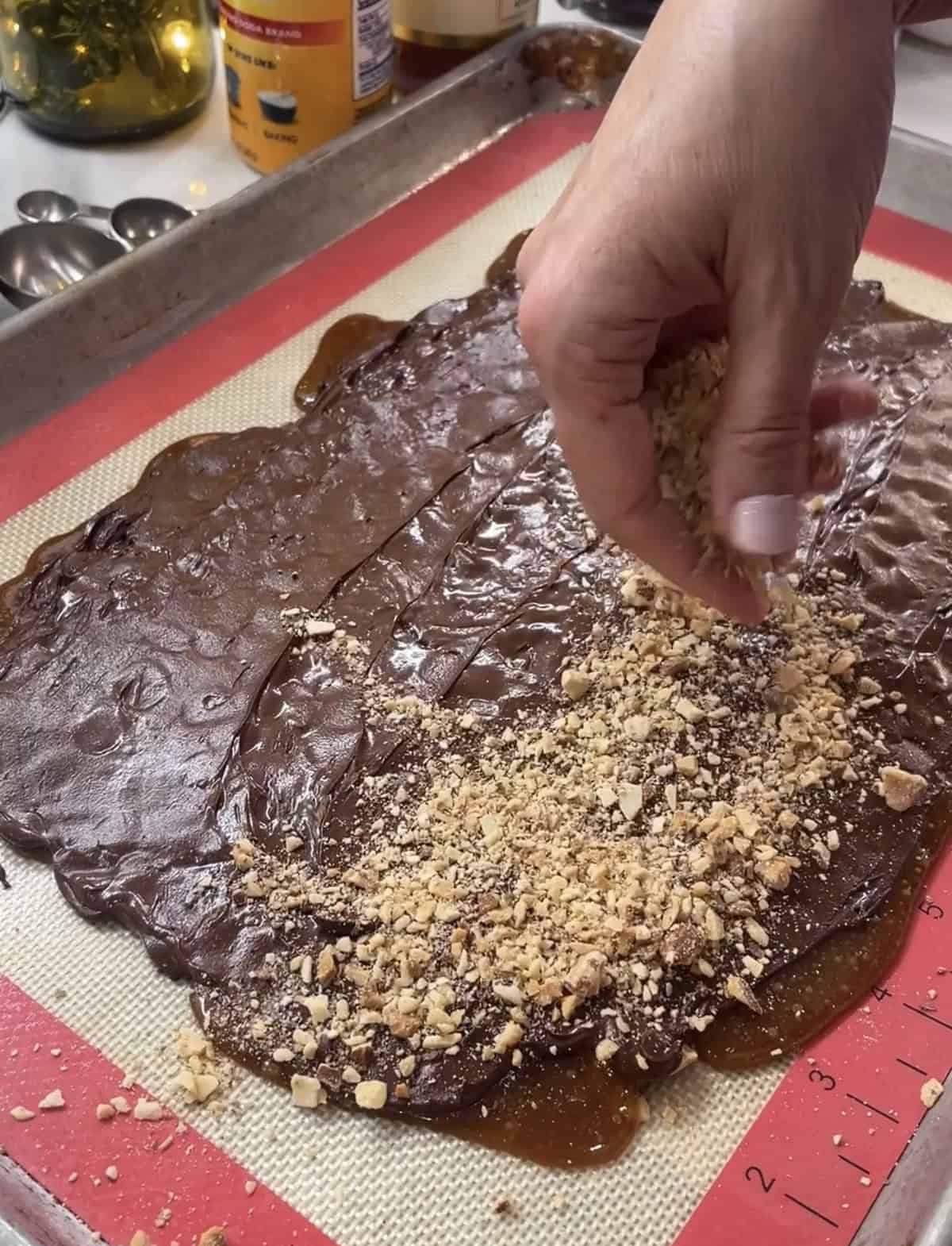 Toasted nuts on top of chocolate covered toffee candy.