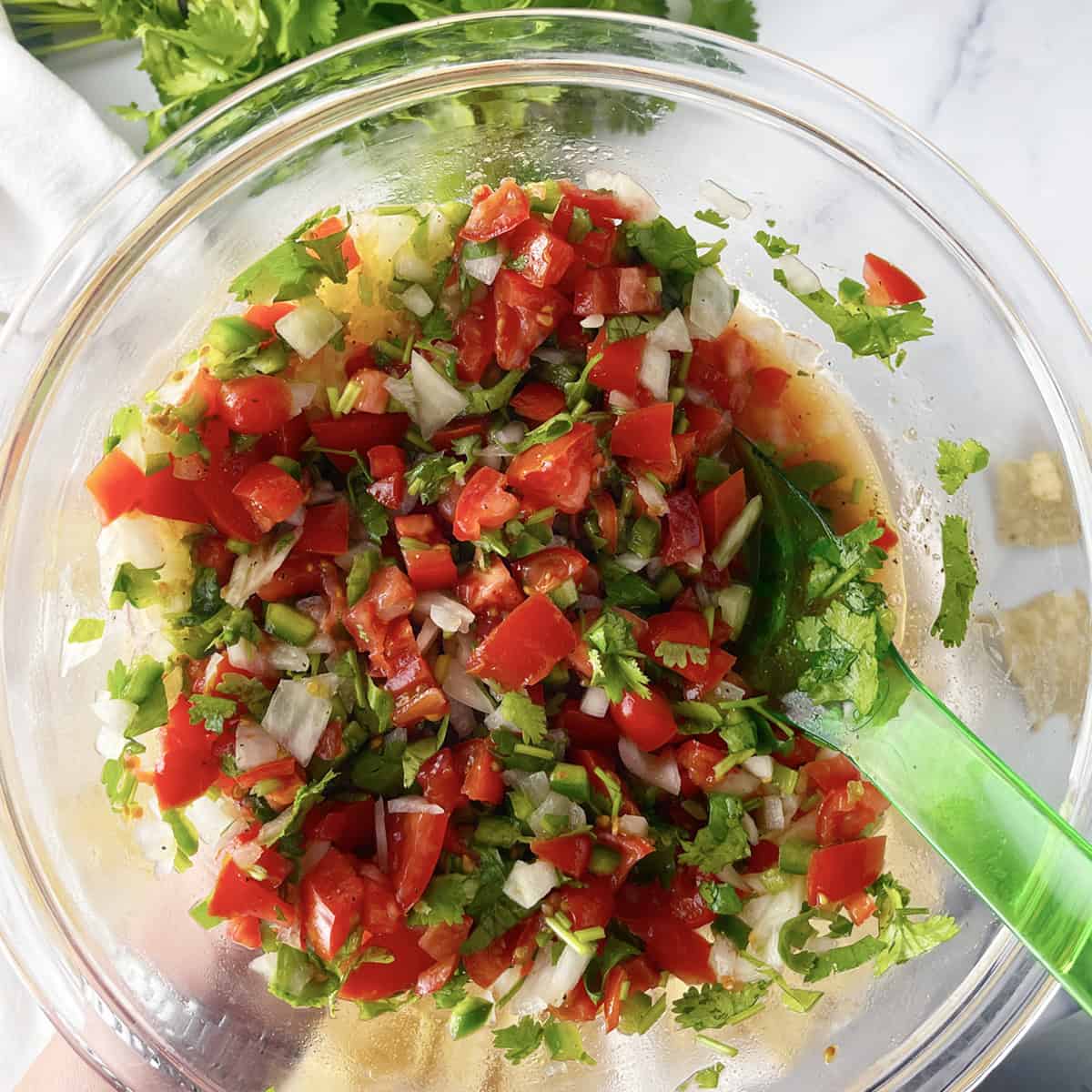 Fresh-Salsa-Bowl.jpg