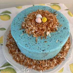 Delicious robins egg Easter cake on a white plate.