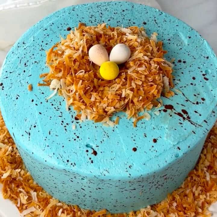 Cute Robins Egg cake made from store bought cake.