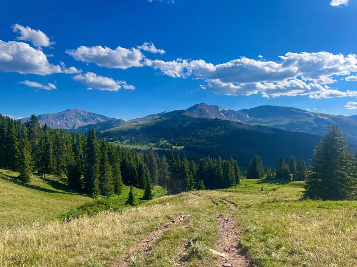 Denver Colorado mountains and trees.