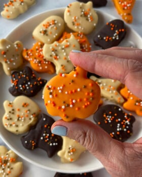 Frosted animal cookies in festive Halloween colors arranged on a plate.