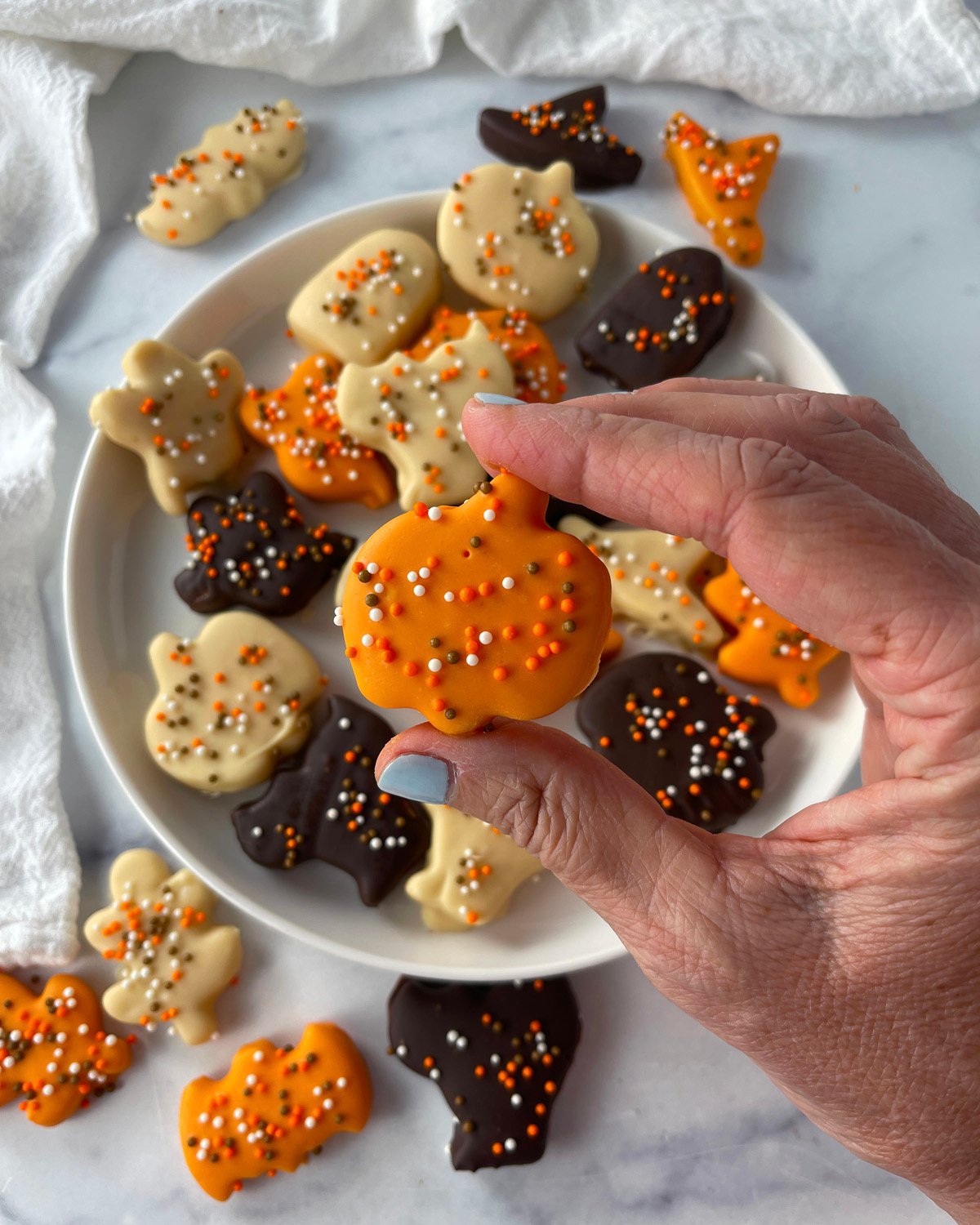 A plate of frosted Halloween animal cookies decorated with colorful sprinkles.