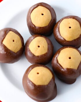 Plate of homemade chocolate dipped peanut butter buckeyes on a white platter, ready to serve.