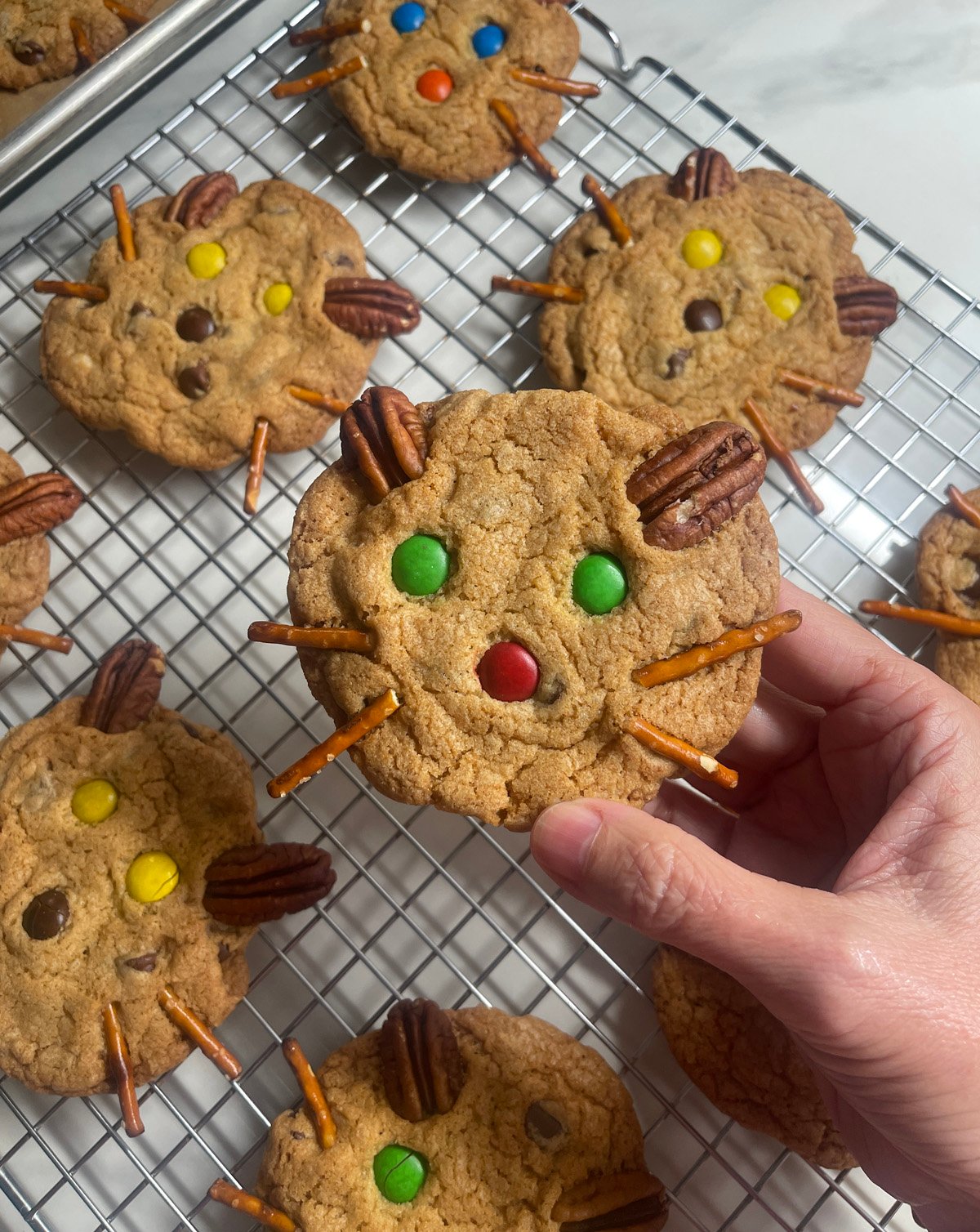 Hand holding a cutely decorated chocolate chip cookie looks like a cat.